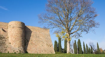 Urbino som visar historiska element och en park