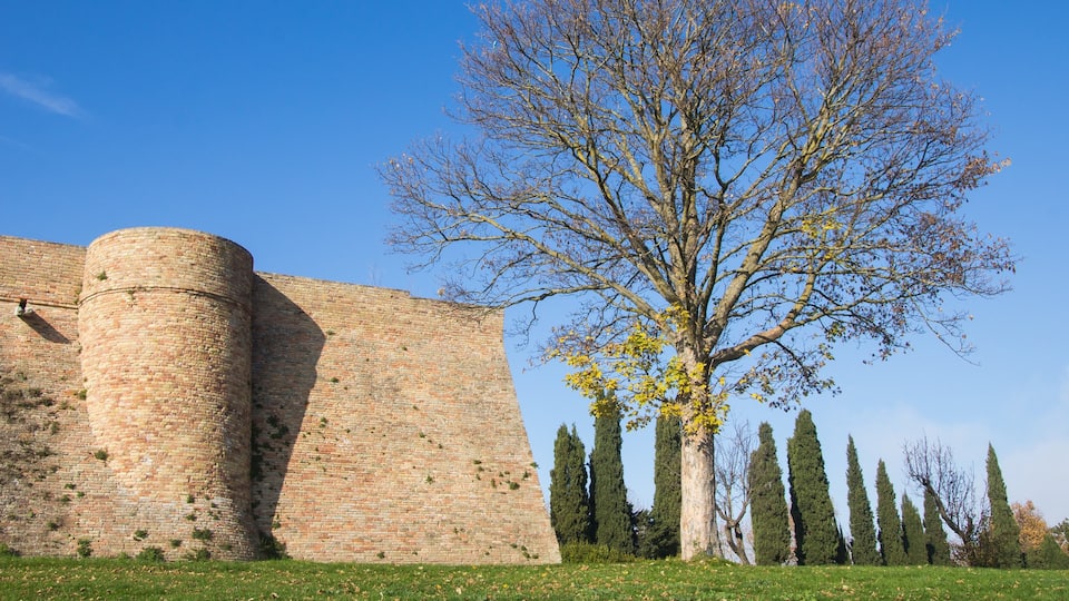 Urbino mostrando elementos patrimoniales y jardín