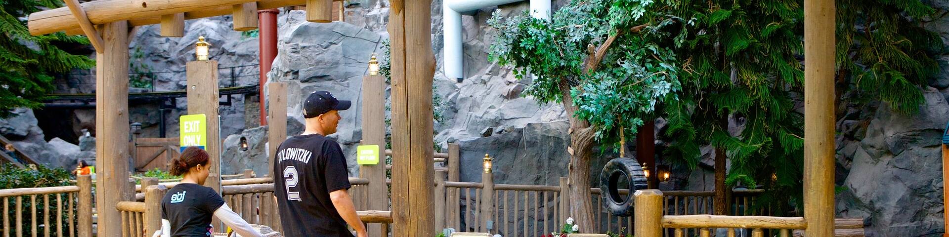 Nickelodeon Universe showing rides as well as a couple