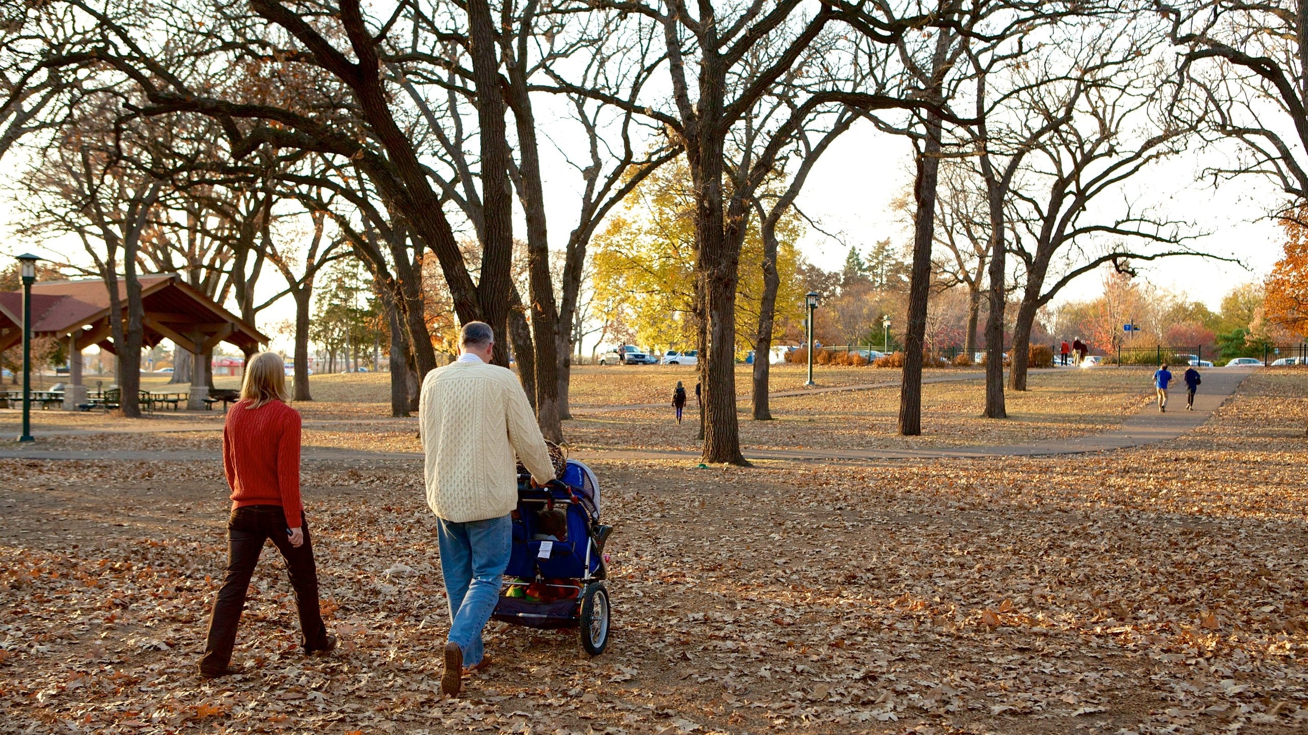 Minnehaha Park showing a garden and autumn leaves as well as a couple