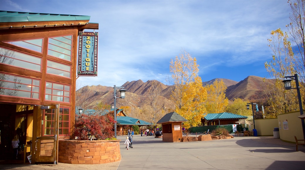 Read more 1 hogle zoo neighborhood: Hogle Zoo in Salt Lake City Expedia