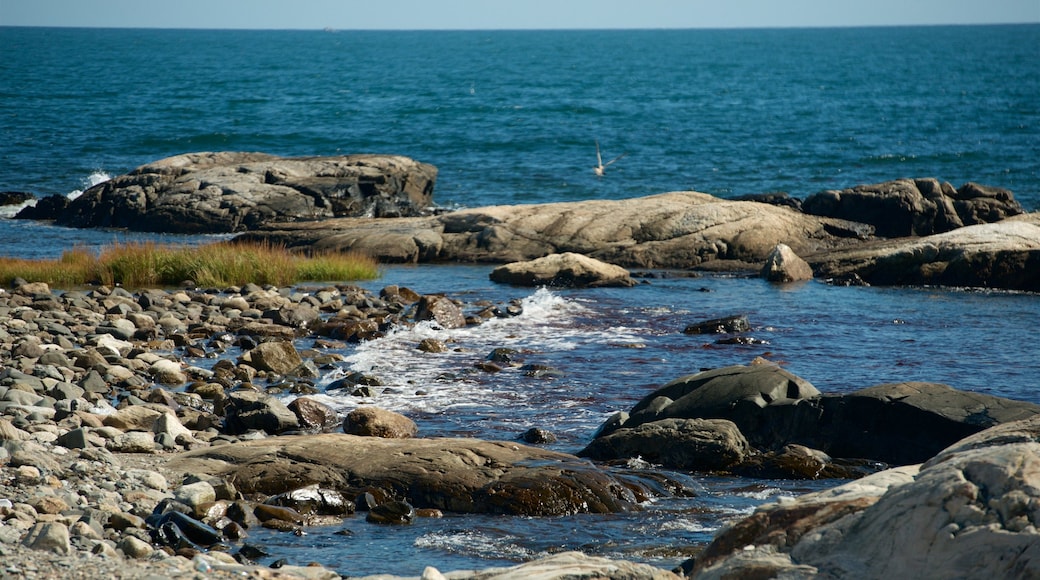 New Hampshire which includes rocky coastline and general coastal views