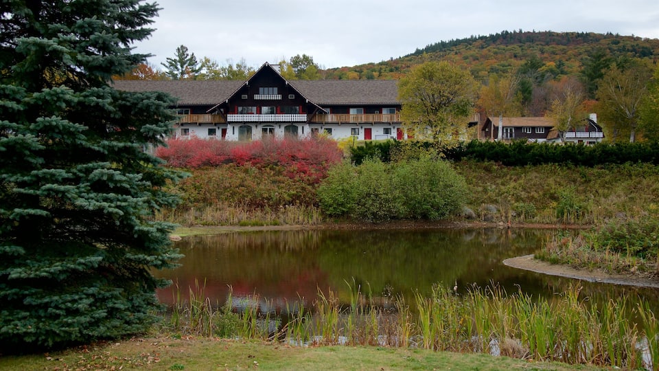 New Hampshire showing a pond and a garden