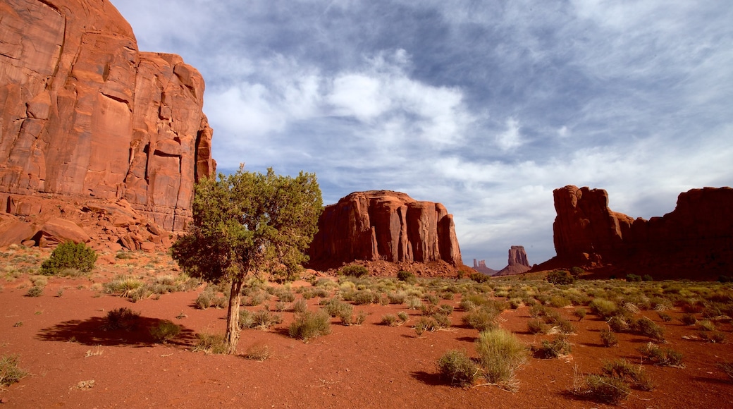 Monument Valley showing desert views and a gorge or canyon