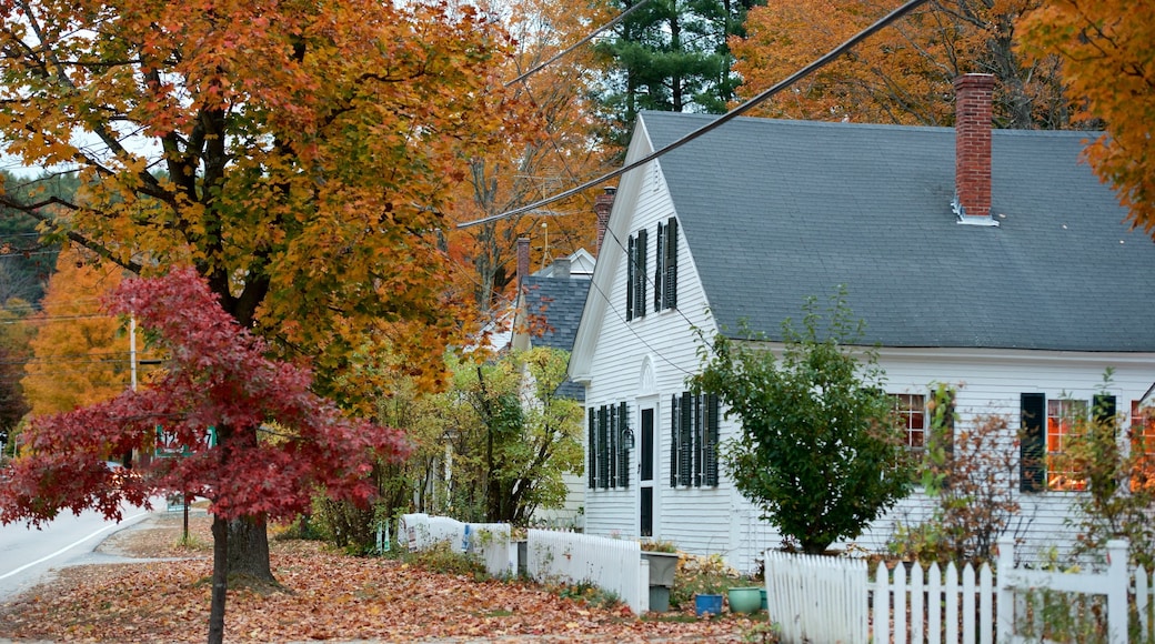 Hancock which includes a house and autumn leaves