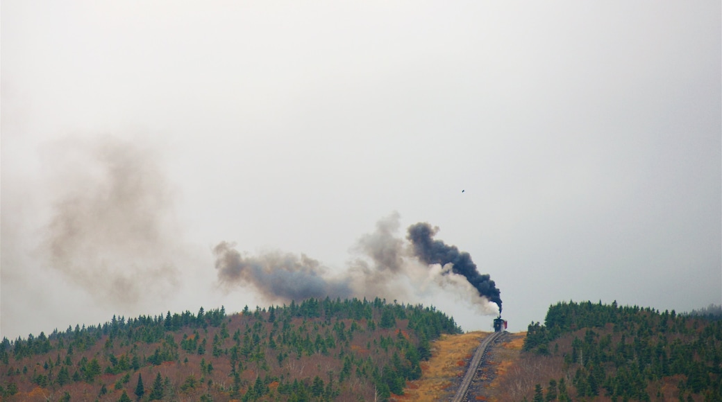 Mount Washington Cog Railway showing tranquil scenes and railway items