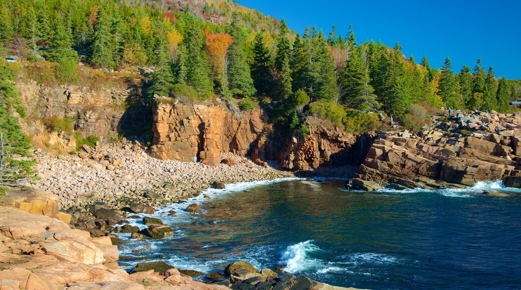 Otter Cliff which includes rugged coastline, general coastal views and a pebble beach