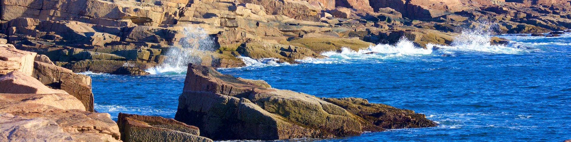 Otter Cliff featuring general coastal views and rugged coastline