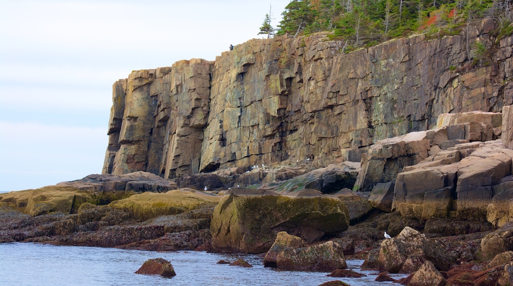 Otter Cliff which includes rugged coastline and general coastal views