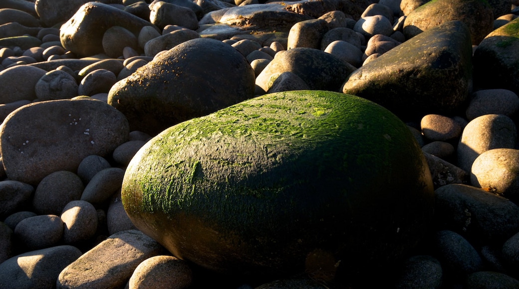 Otter Cliff which includes a pebble beach