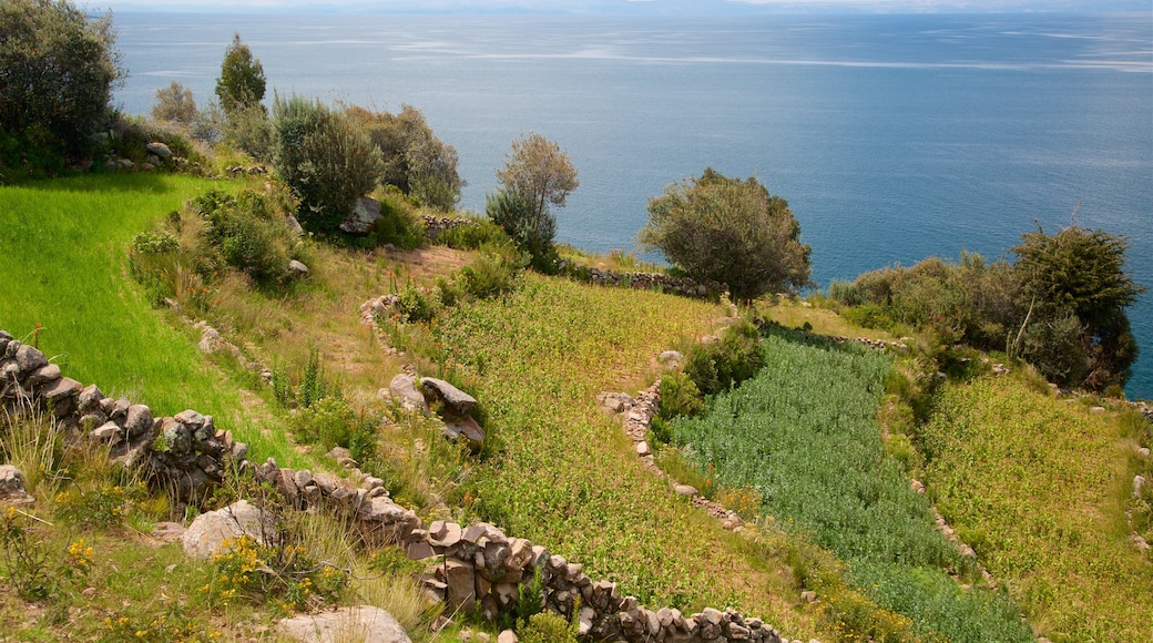 Lake Titicaca featuring landscape views, farmland and general coastal views