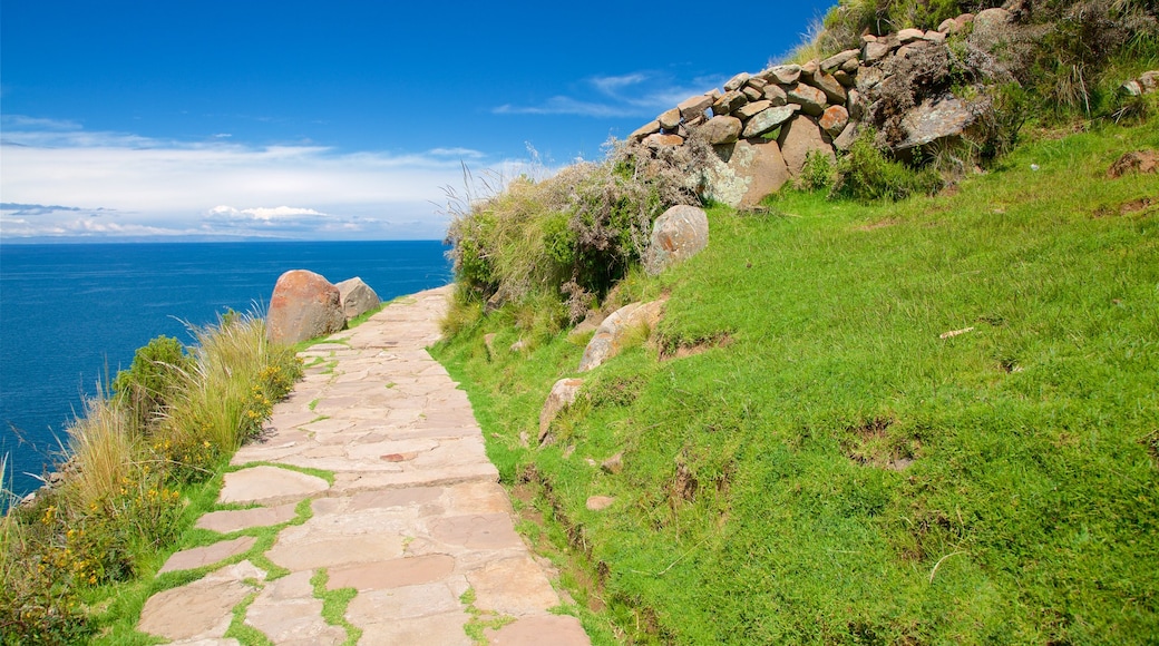 Lake Titicaca showing a park and general coastal views