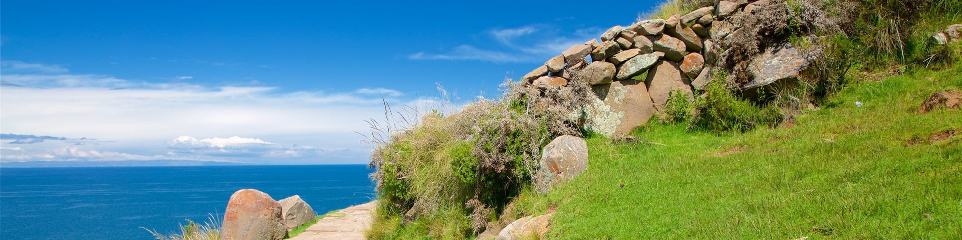 Lake Titicaca showing general coastal views and a park