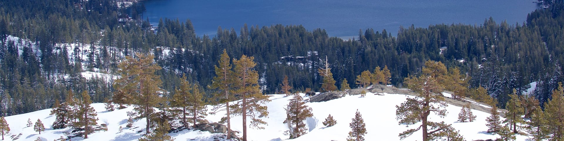 Forêt nationale de Tahoe mettant en vedette scènes tranquilles, lac ou étang et neige