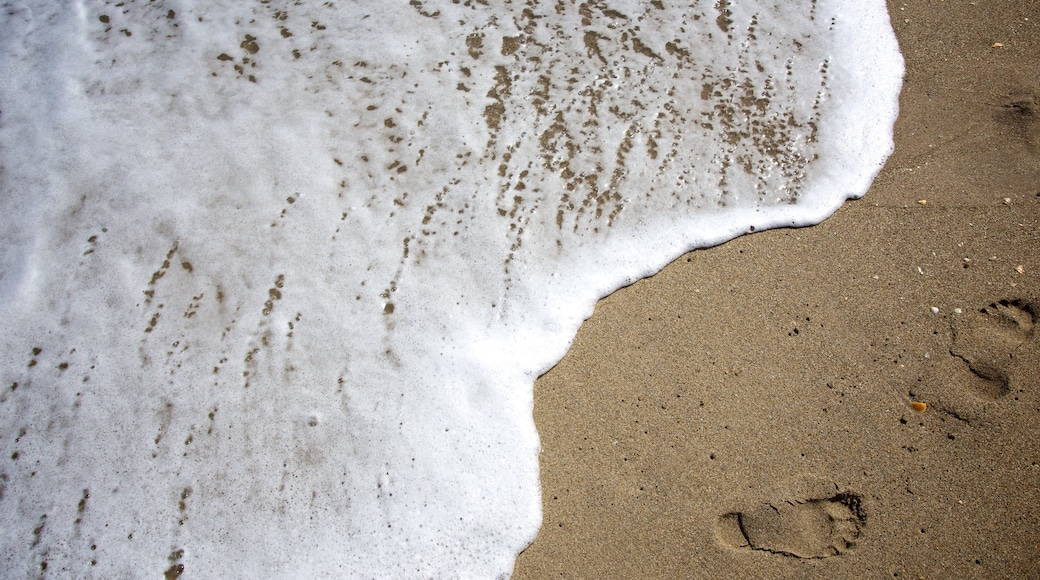 Jupiter que incluye una playa de arena