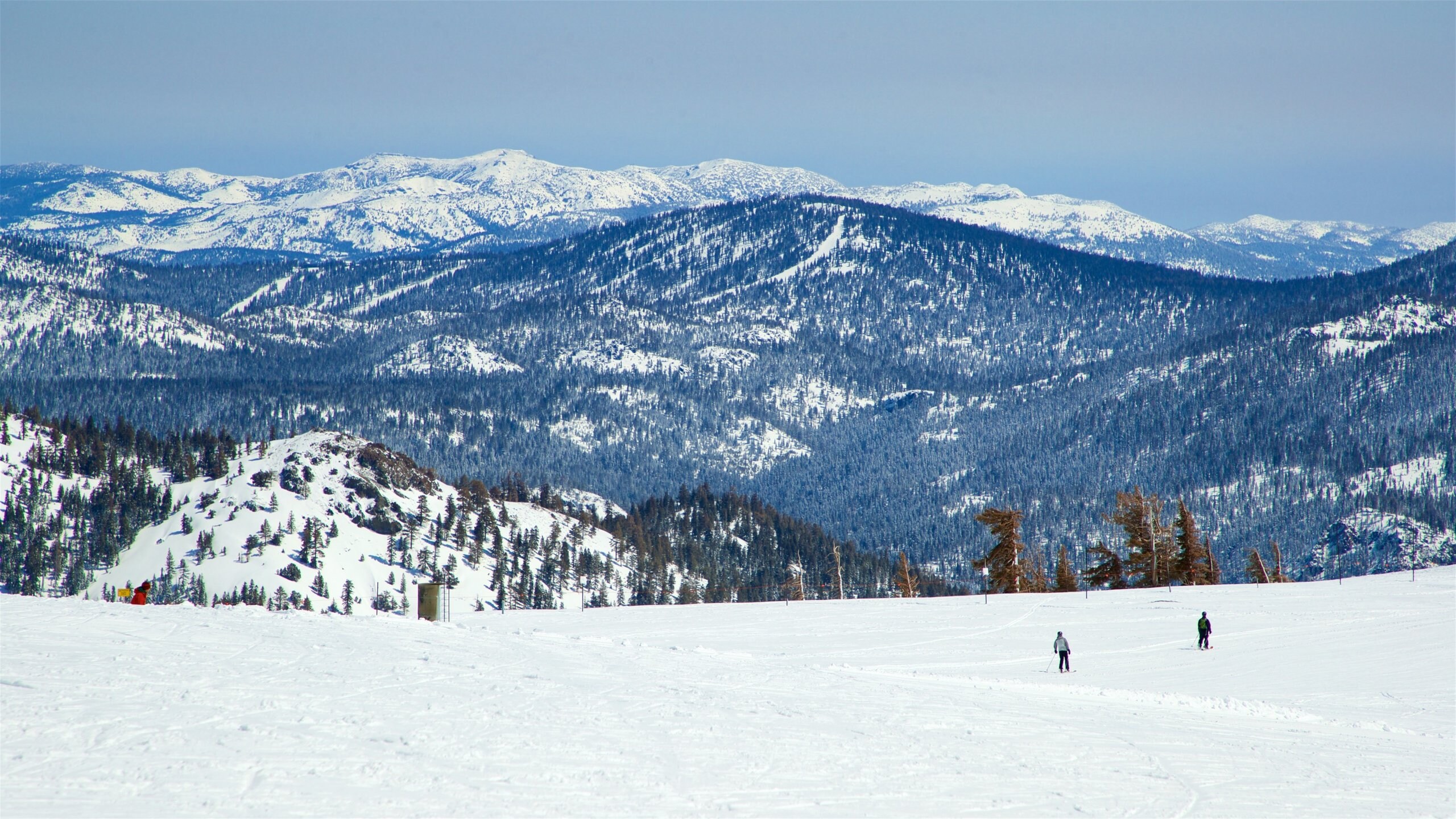 Things to Do in Olympic Valley Experience