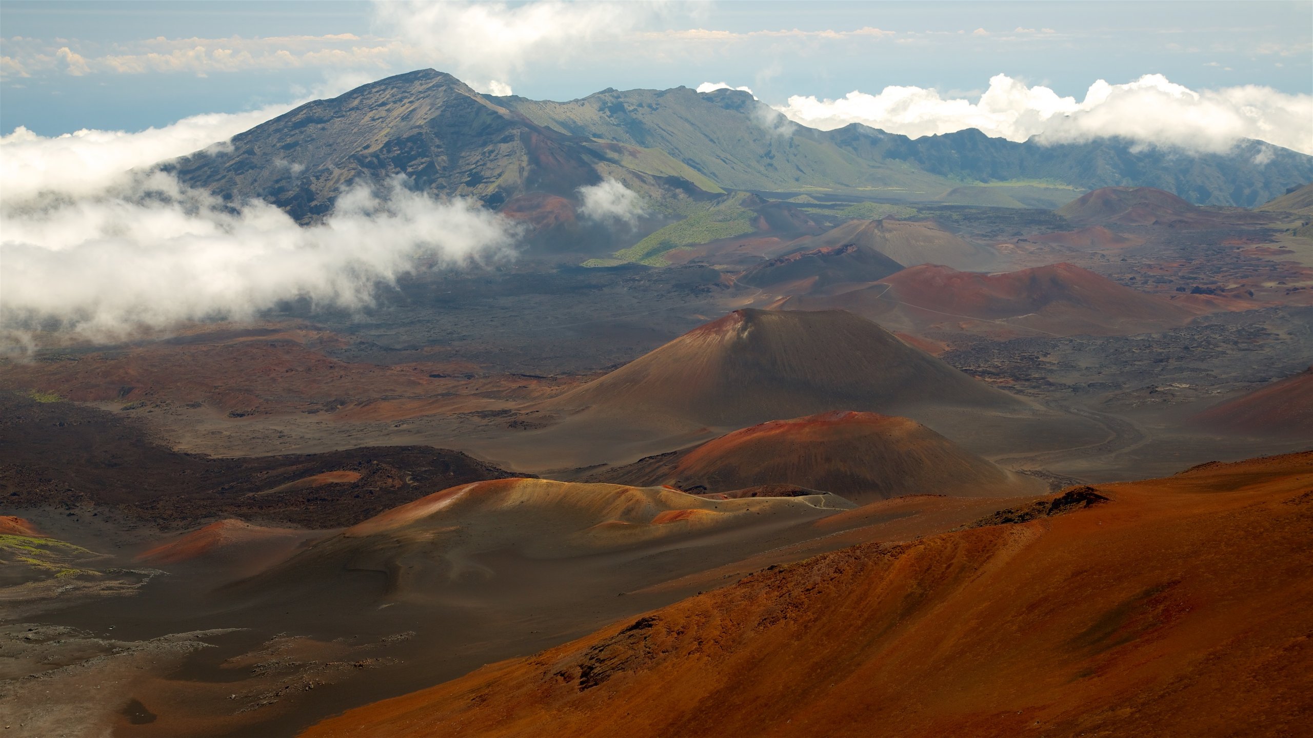 Makawao, Hawaii, United States of America