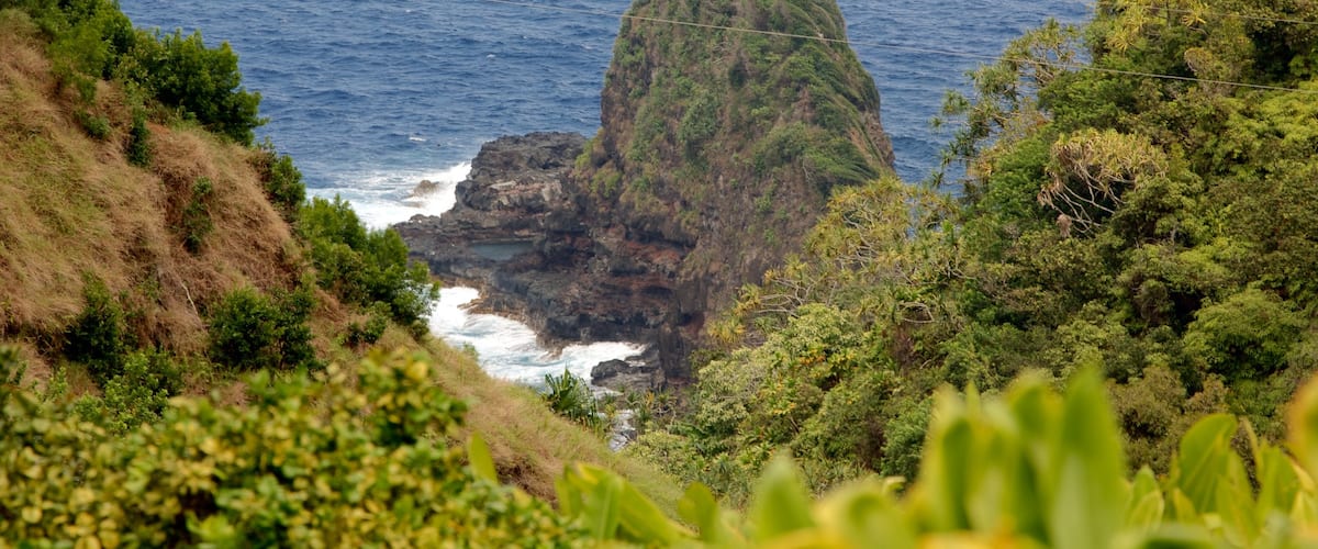 Garden of Eden Arboretum featuring rugged coastline and general coastal views