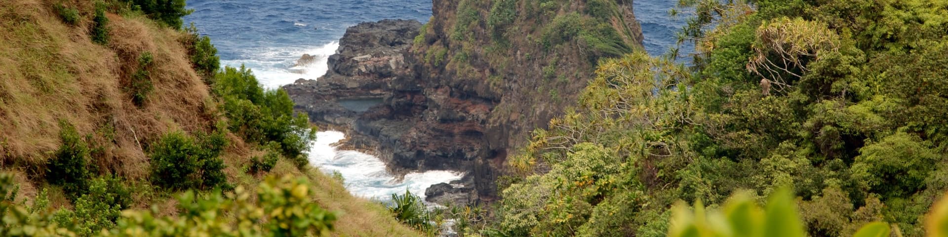 Garden of Eden Arboretum featuring rugged coastline and general coastal views