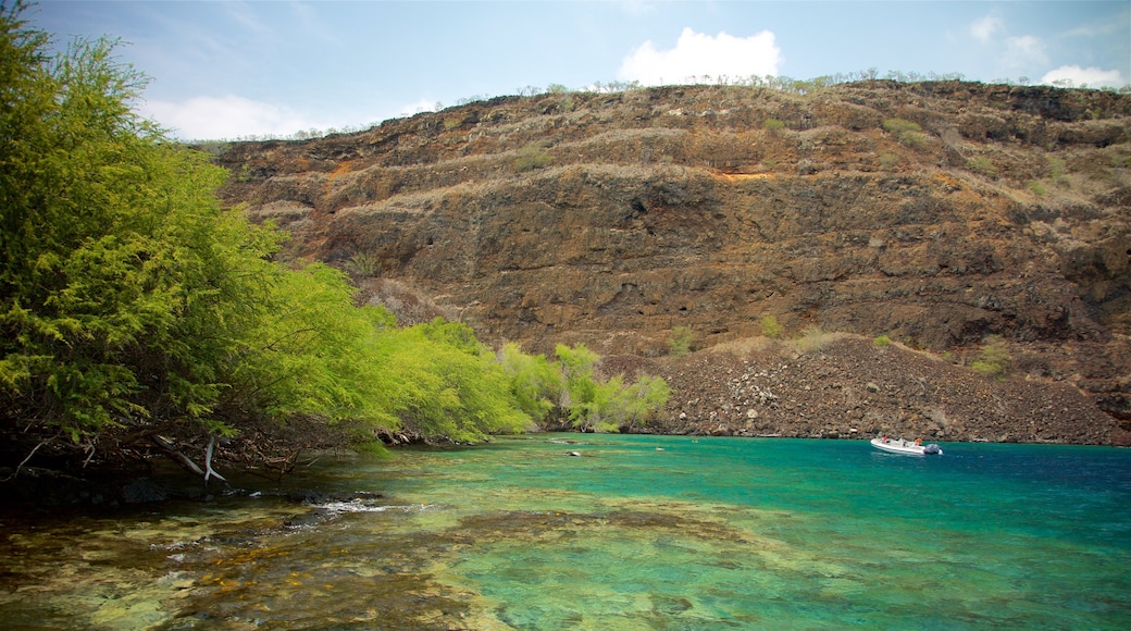 Captain Cook que inclui um lago ou charco e canoagem