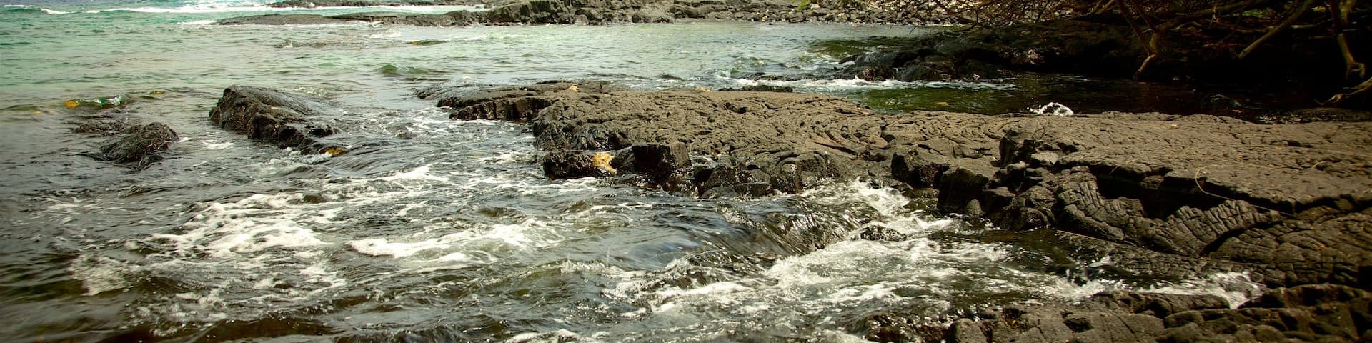 キャプテン クック どの含み 海岸線の眺め と 荒々しい海岸線