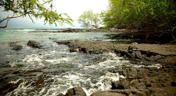 Captain Cook which includes rugged coastline and general coastal views