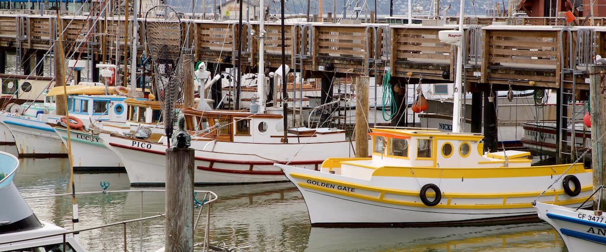 Fisherman\'s Wharf mit einem Bucht oder Hafen