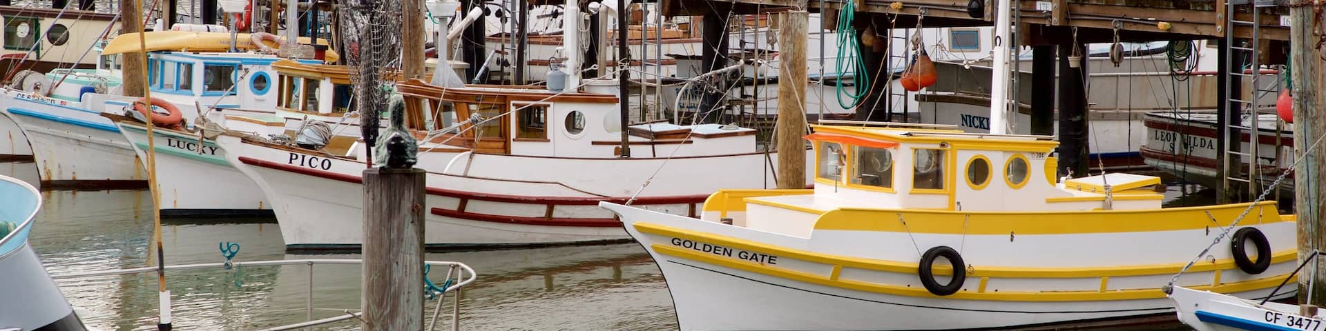 Fisherman\'s Wharf showing a bay or harbour