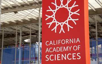 Visit California Academy of Sciences in Golden Gate | Expedia