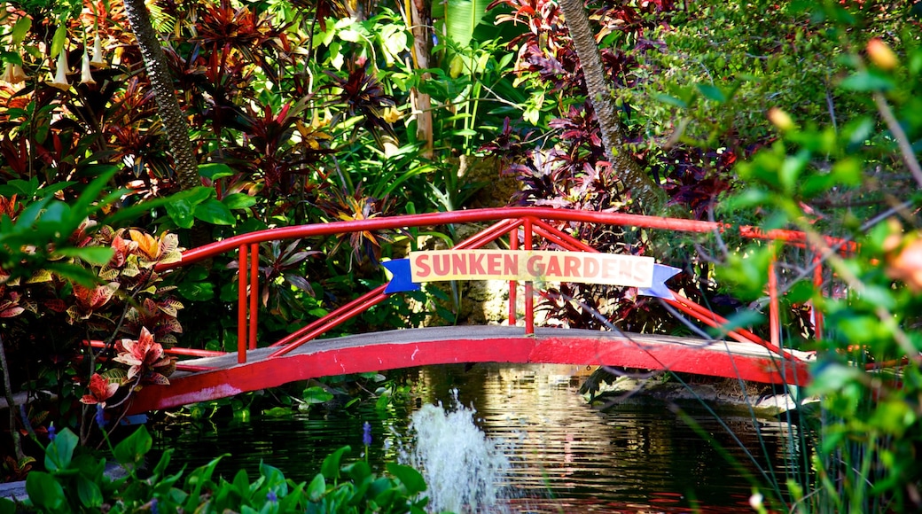 Sunken Gardens trong đó bao gồm sông lạch, biển hiệu và cầu