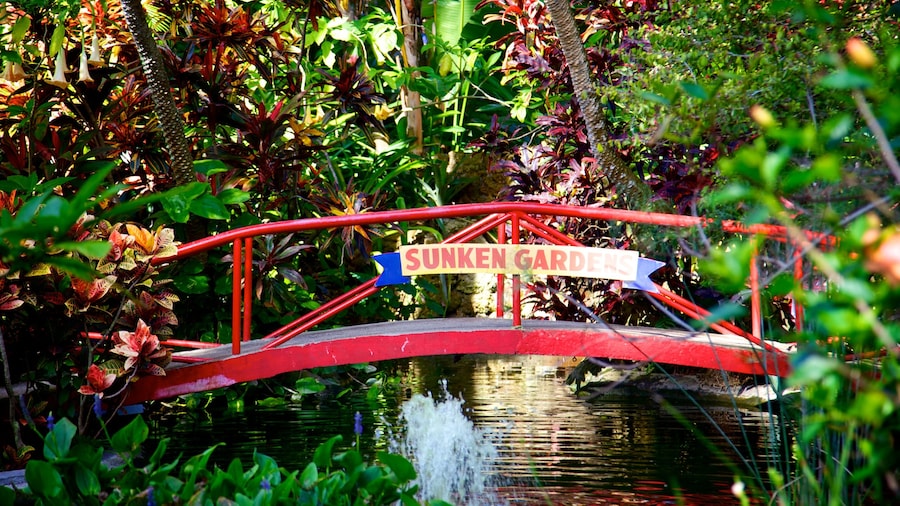 Sunken Gardens showing signage, a river or creek and a bridge