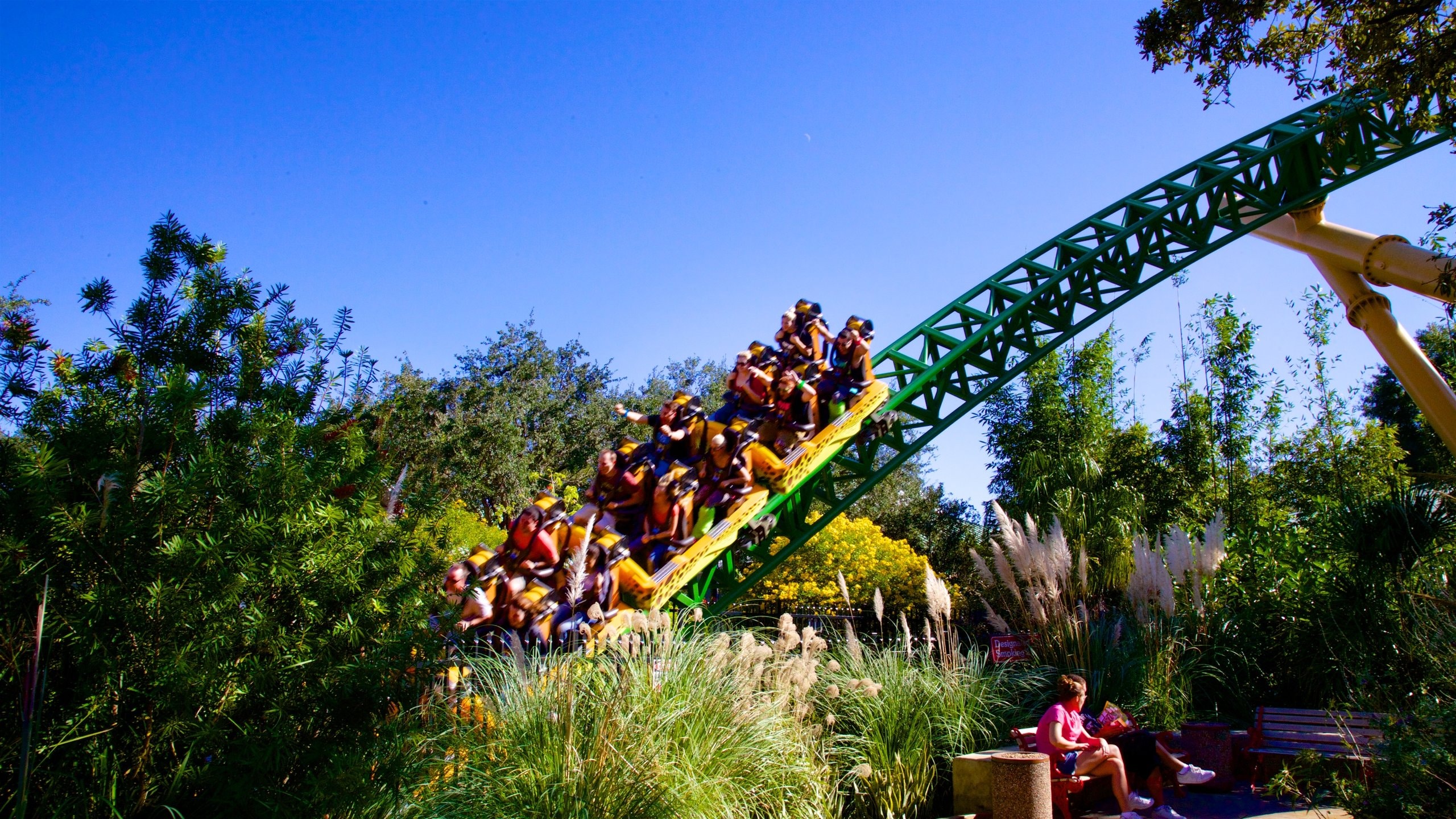 Busch Gardens Tampa Bay Vacation Packages - Expedia, image size:2560x1440