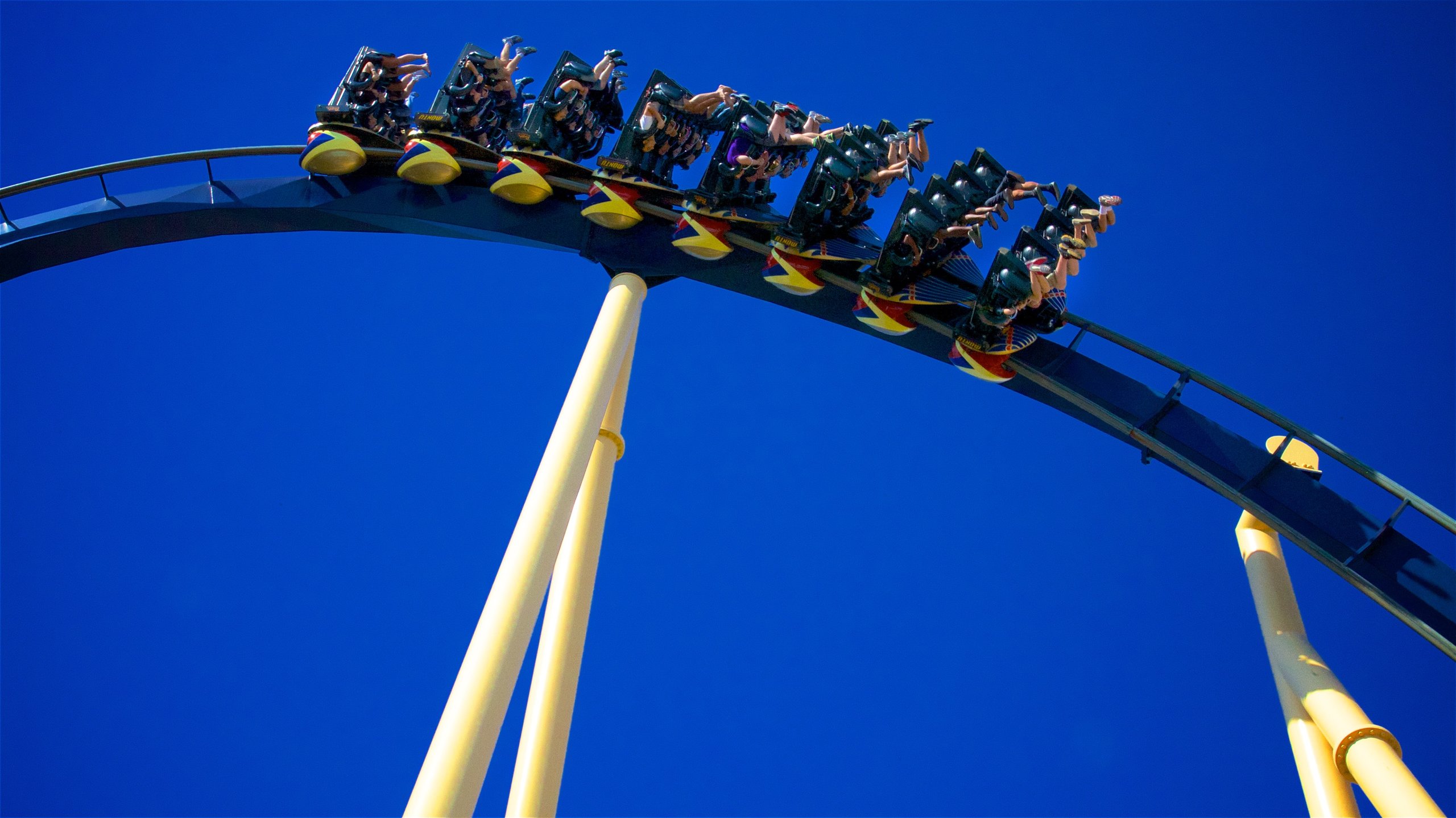 Montu - Busch Gardens Tampa (Tampa, Florida, United States)