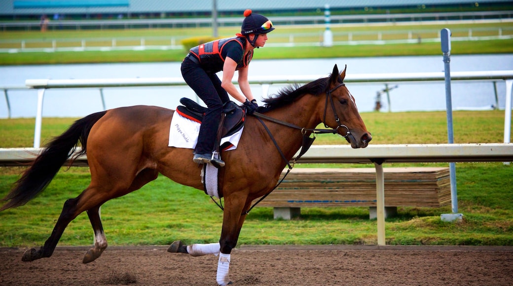 Gulfstream Park Racing and Casino
