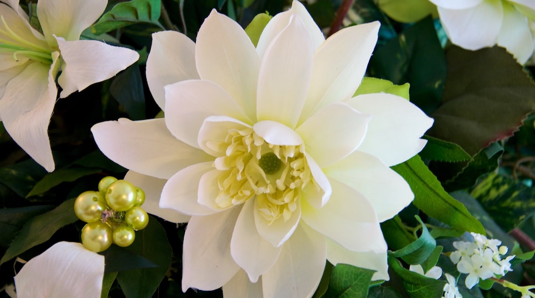 Pequeña capilla blanca para bodas mostrando flores