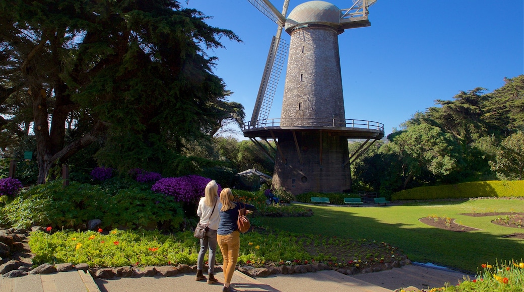 Golden Gate Park showing a park as well as a couple