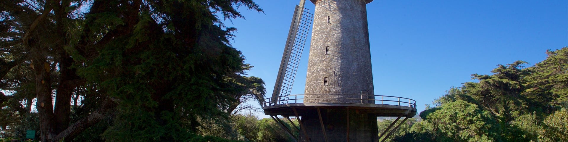 Parque Golden Gate que incluye un jardín y también una pareja