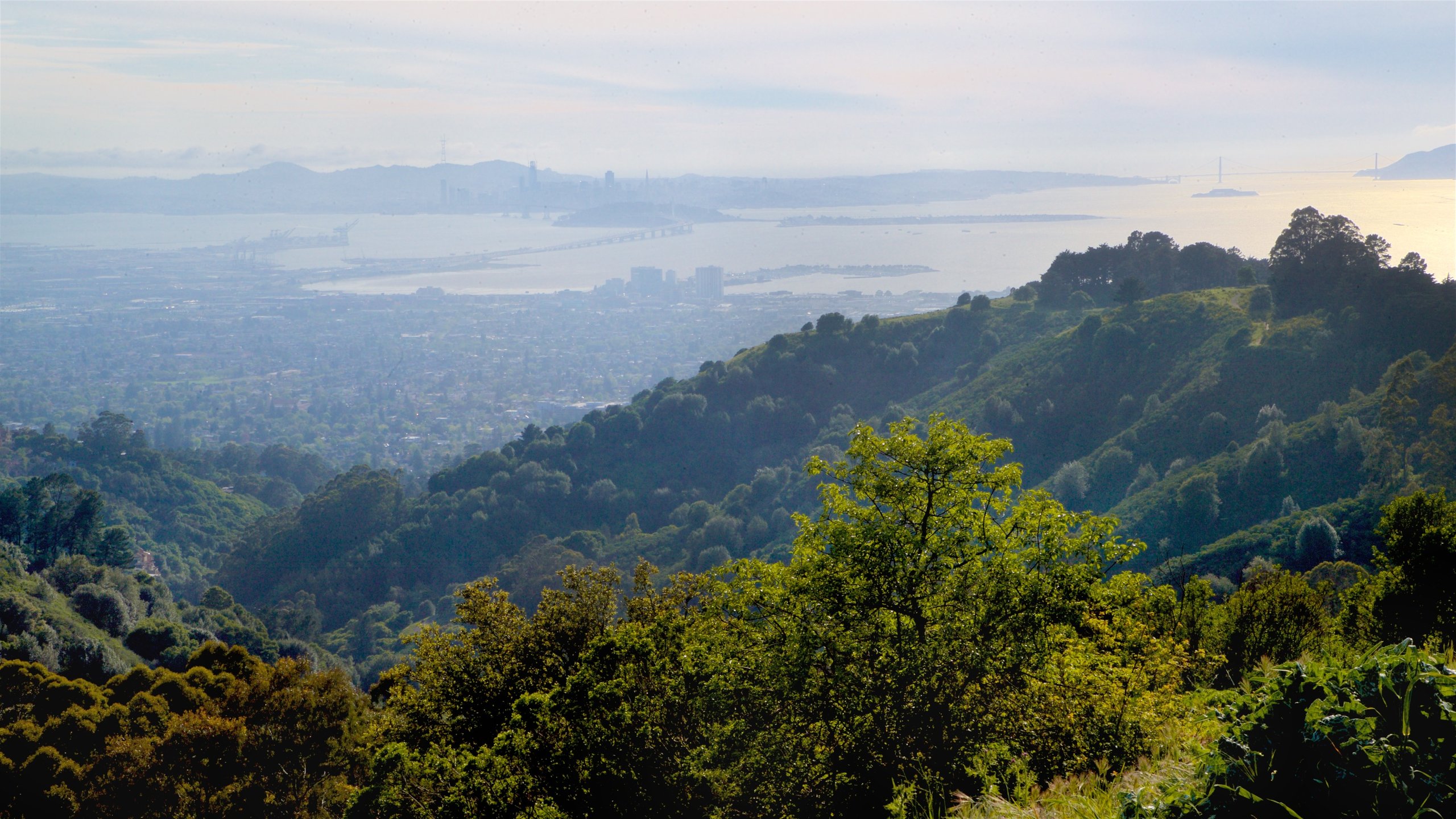 Berkeley featuring landscape views and tranquil scenes