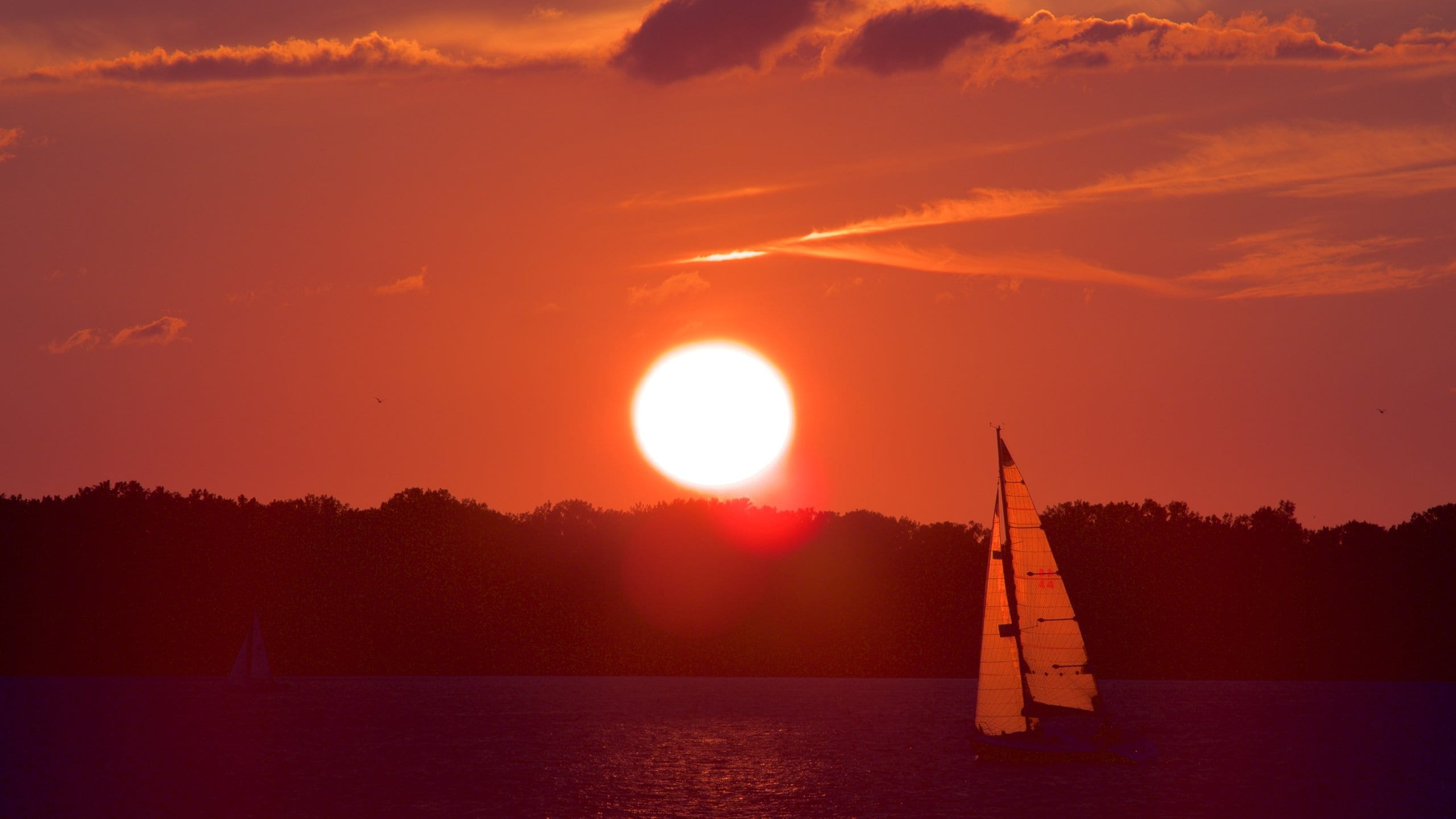 Erie which includes a river or creek, a sunset and boating