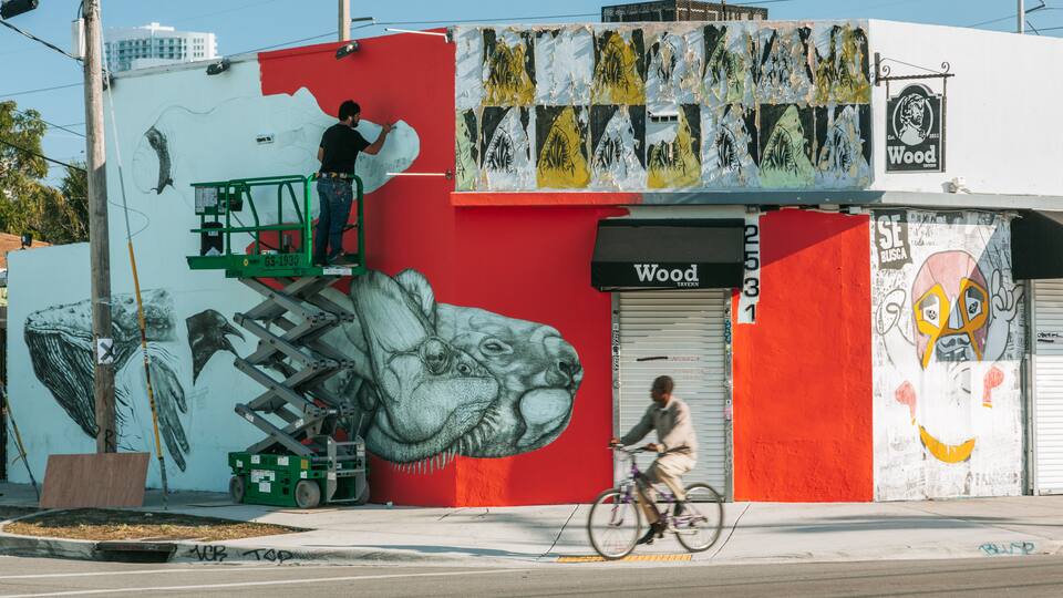 Wynwood Art District showing outdoor art and road cycling as well as an individual male