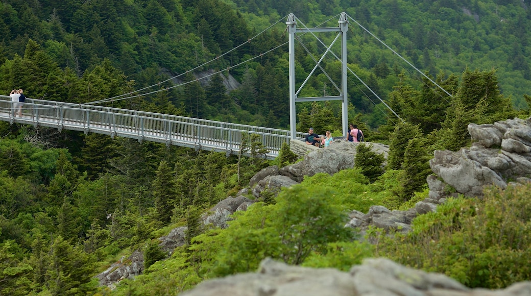 Grandfather Mountain showing tranquil scenes and a bridge as well as a small group of people