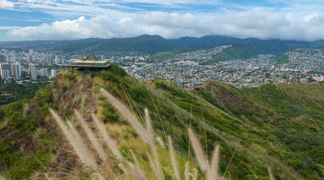 Diamond Head trong đó bao gồm phong cảnh, quang cảnh và thành phố