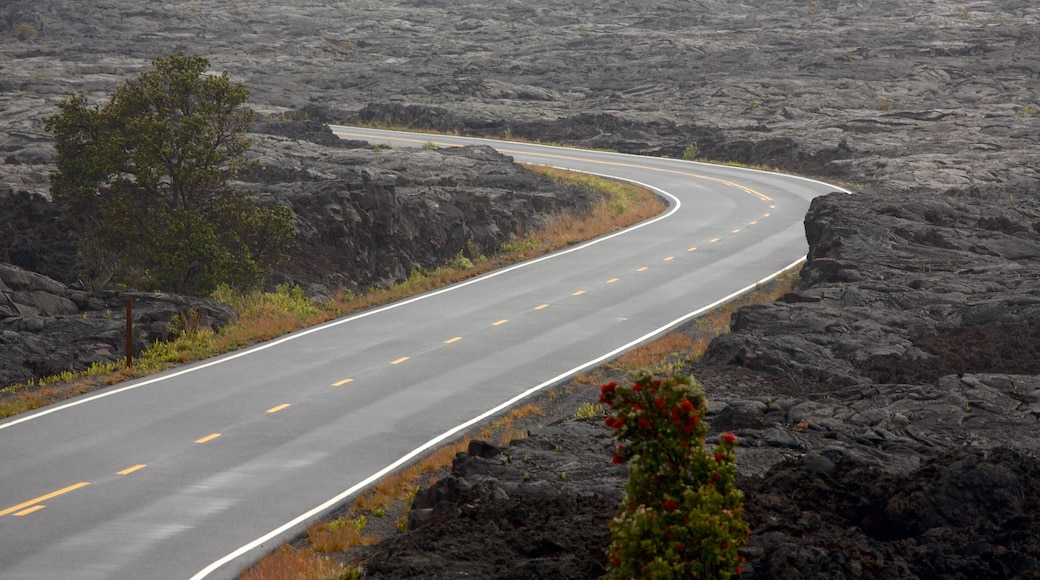 Hawaii Volcanoes National Park som inkluderar stillsam natur