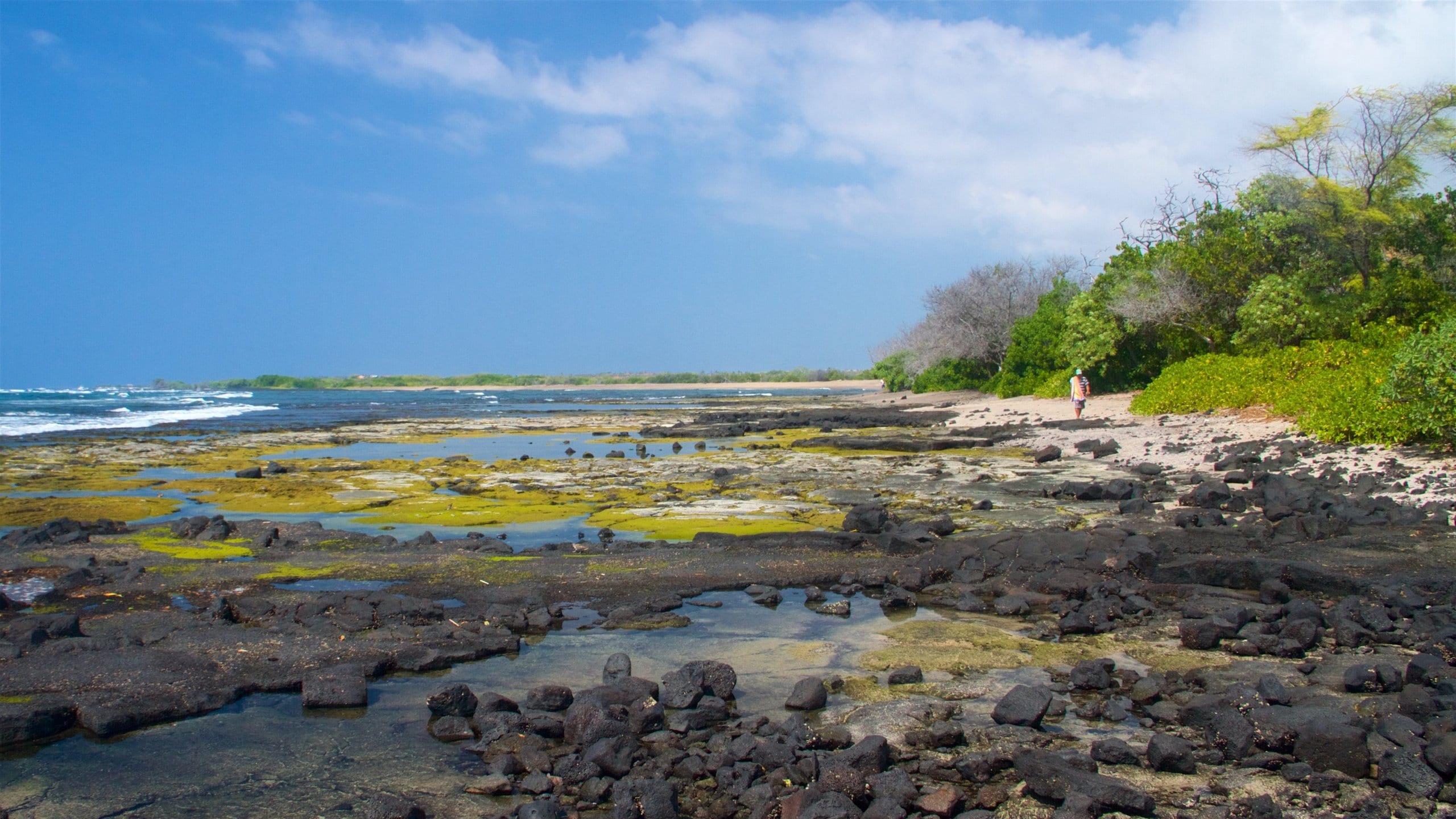 Kaloko-Honokohau National Historical Park which includes general coastal views