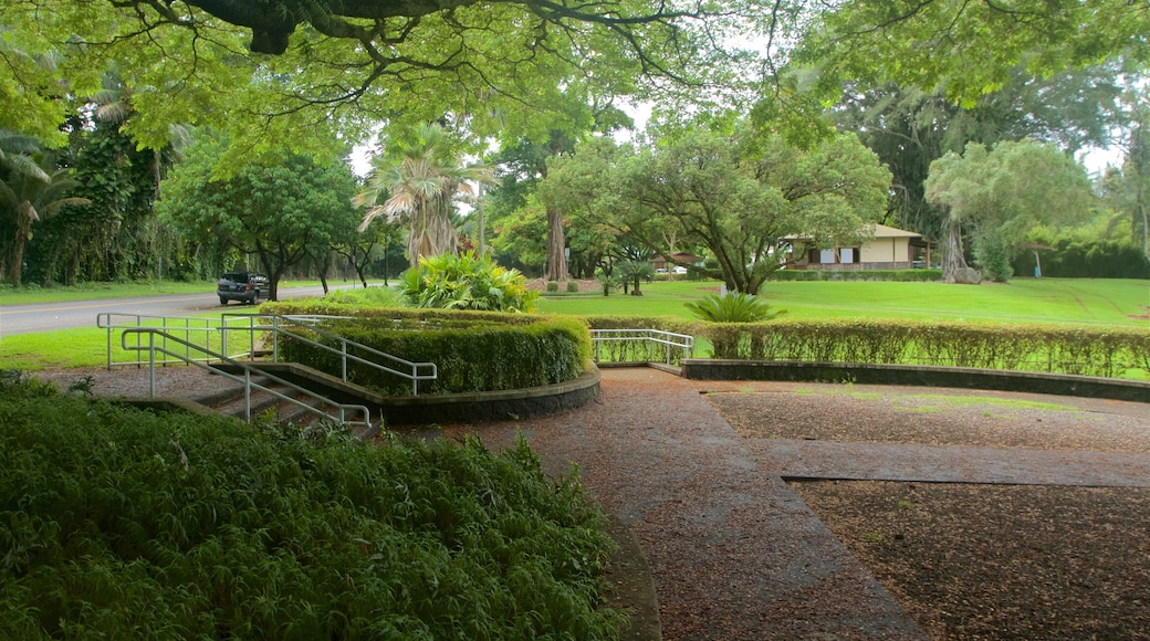 Liliuokalani Park and Gardens showing a park