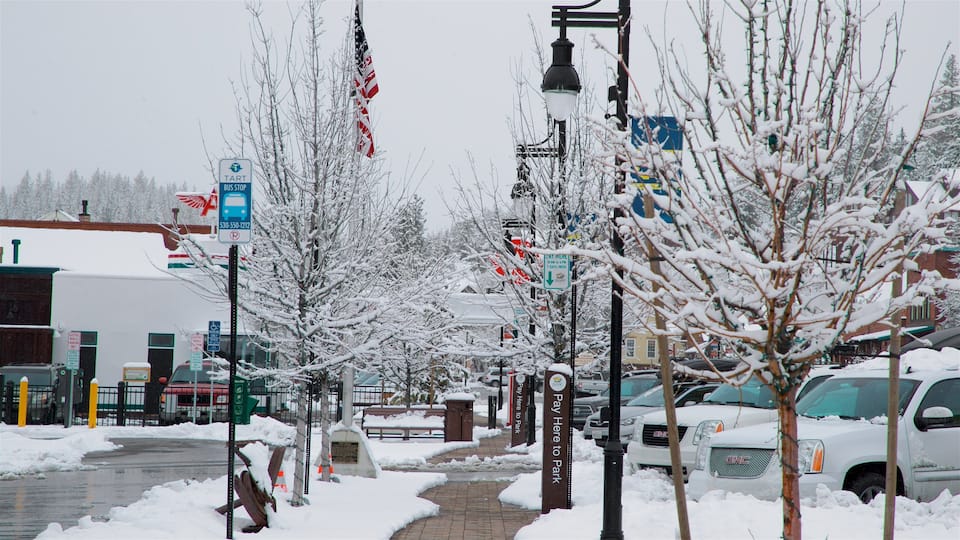Truckee which includes snow