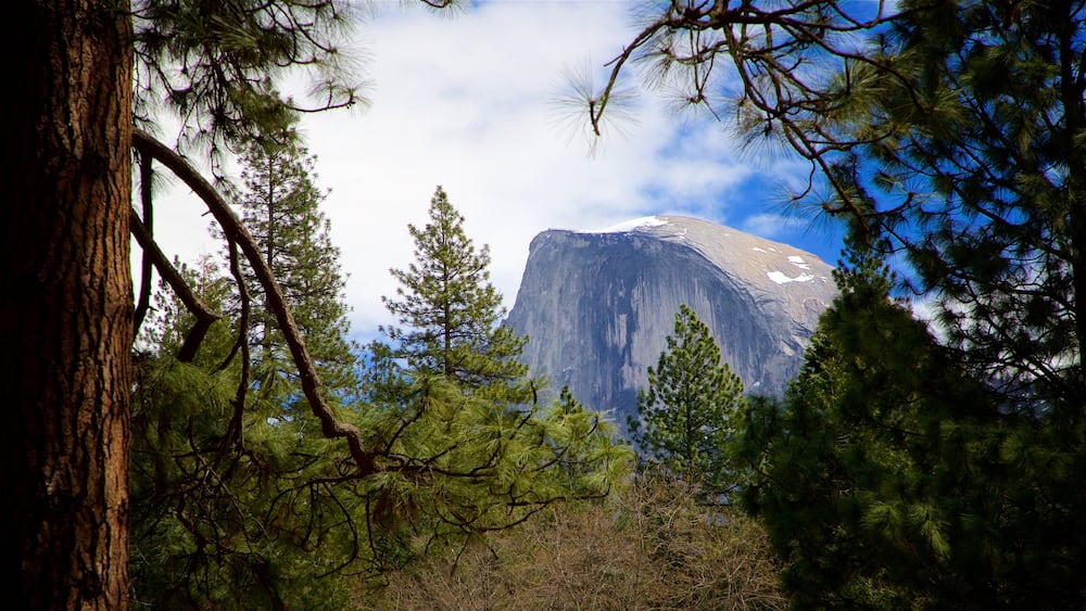 Mariposa welches beinhaltet Berge und ruhige Szenerie
