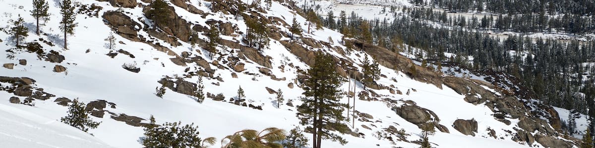 Tahoe National Forest mit einem Landschaften, Schnee und Berge