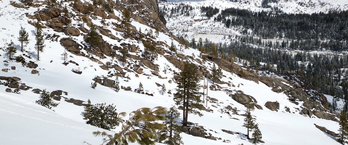 Bosque nacional Tahoe ofreciendo montañas, vistas de paisajes y nieve