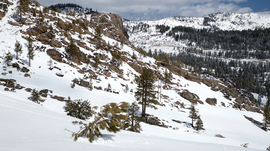 Bosque nacional Tahoe ofreciendo montañas, vistas de paisajes y nieve
